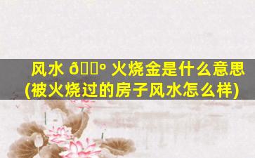风水 🌺 火烧金是什么意思(被火烧过的房子风水怎么样)